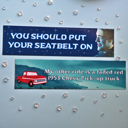 Bumper Magnets