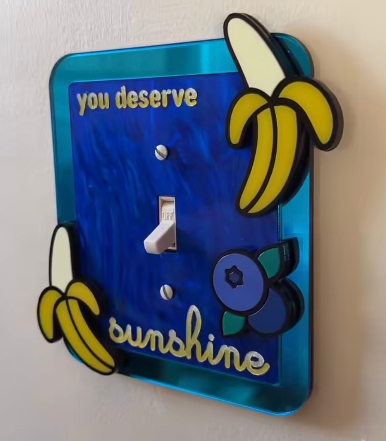 Blue Moon Over Brooklyn Light Switch Cover